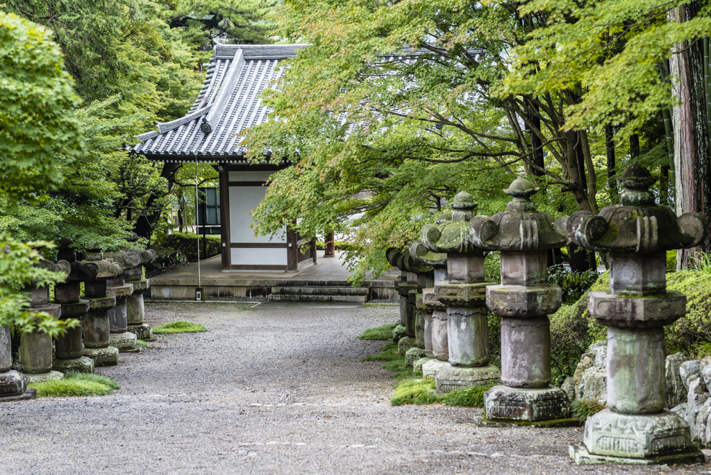 85ｍｍ　埼玉フラフラ