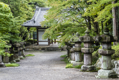 85ｍｍ　埼玉フラフラ