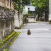 プラプラ散歩