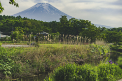 山梨プラプラ散歩