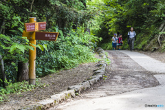 高尾山