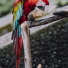 ぷらぷら動物園スナップ