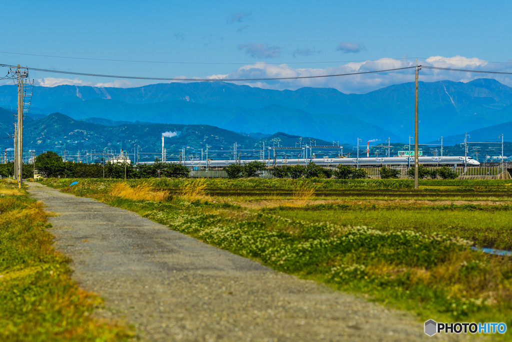 静岡周辺