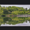 昭和記念公園散歩