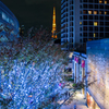 クリスマス 東京タワー