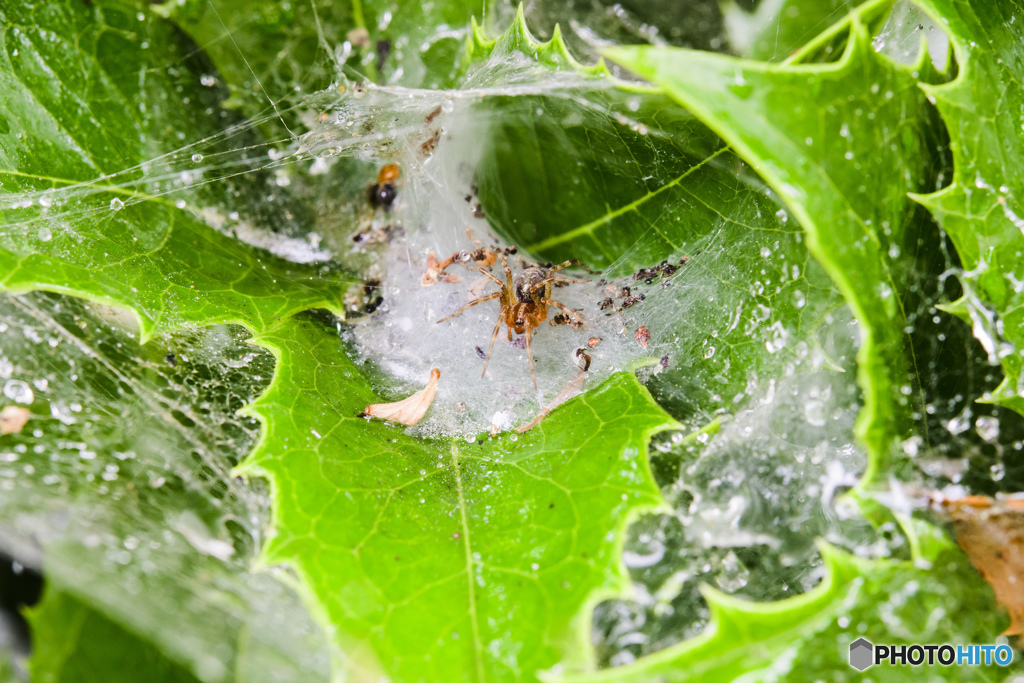 雨の日のシャッター