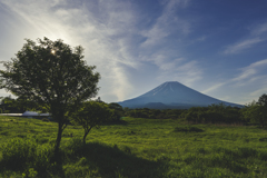 山梨プラプラ散歩