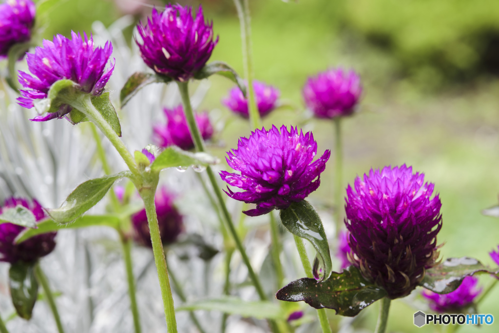 雨の日のシャッター