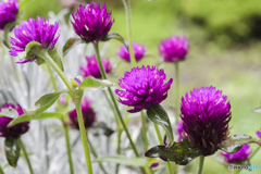 雨の日のシャッター