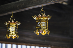 塩船観音　彼岸花ect