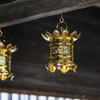 塩船観音　彼岸花ect