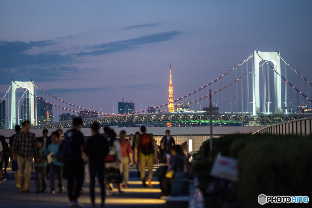 お台場の日常