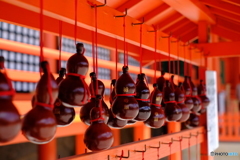 飴色のグラデュエーション
