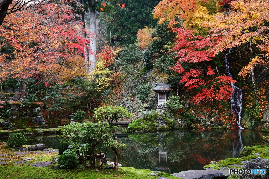 静かな庭園