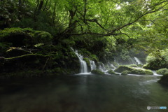 元滝伏流水