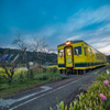 ムーミン列車