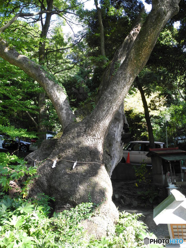 湯の街のパワースポット