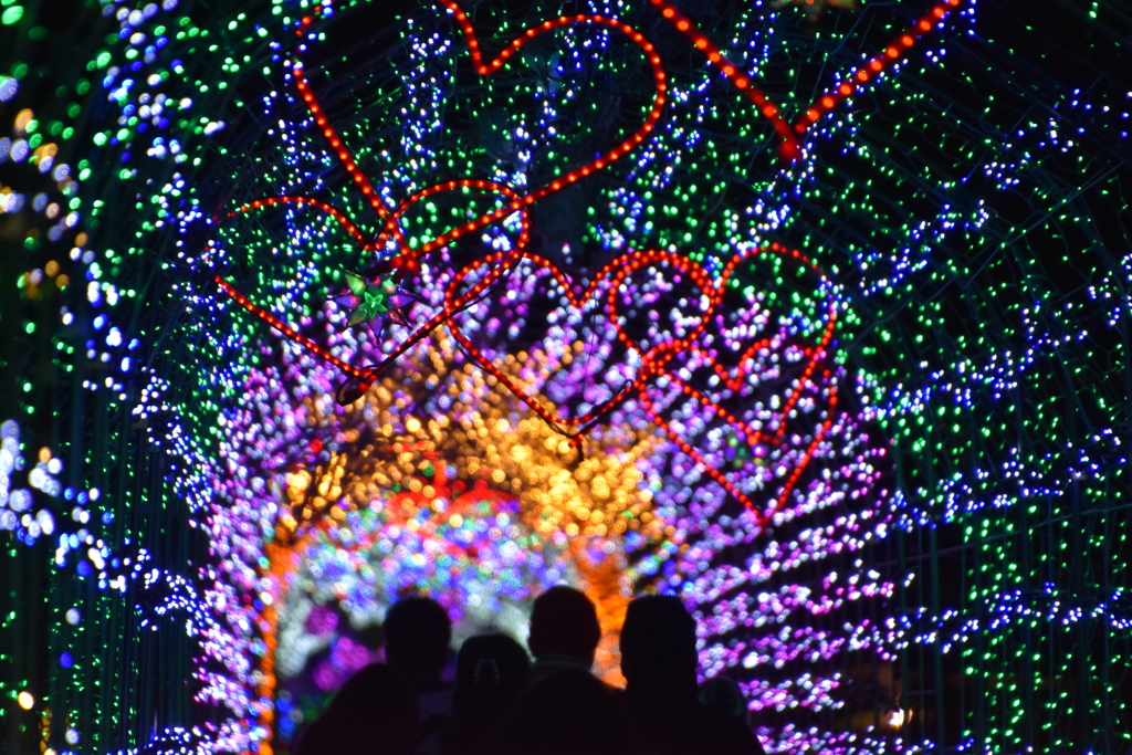 宮ヶ瀬イルミネーション 3