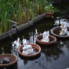 水に浮かぶ置物