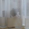 ウチの猫 隠れたつもり…
