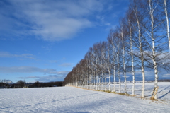 北海道1