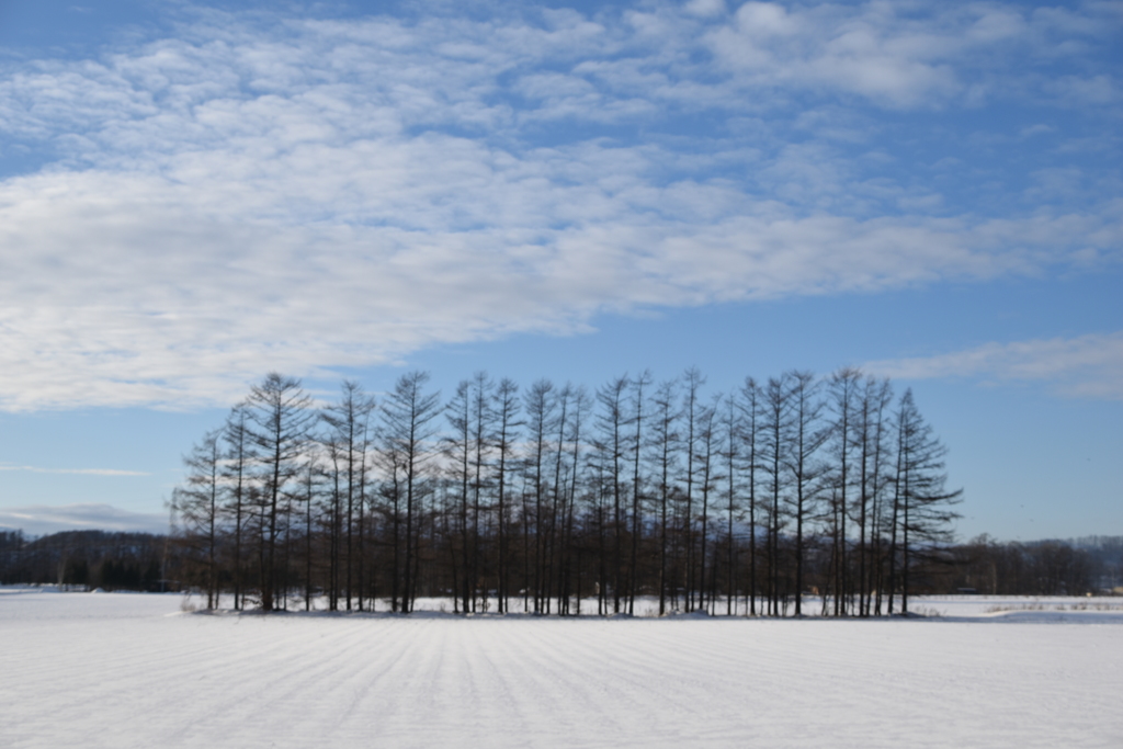北海道2