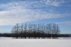 北海道2