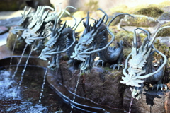 箱根神社の九頭竜