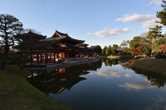 綺麗になった平等院鳳凰堂