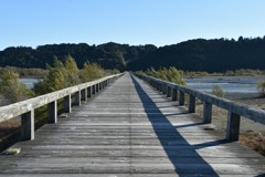 長い木の橋 (蓬莱橋)