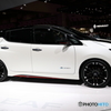 新型LEAF