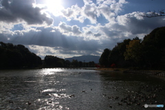 奈良 橿原神宮の深田池