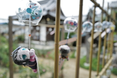 のんびり風にユラユラと