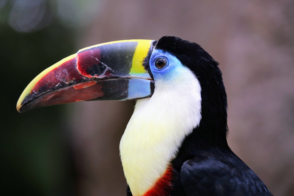 健康的な授乳のためのその他のヒント