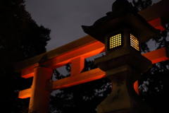 奈良 ～春日大社の灯籠～