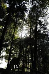 遭遇