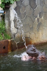 水分補給