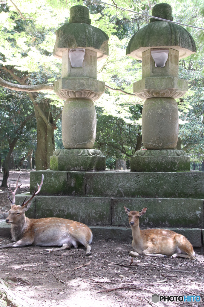 ふたつのカップル