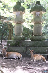 ふたつのカップル