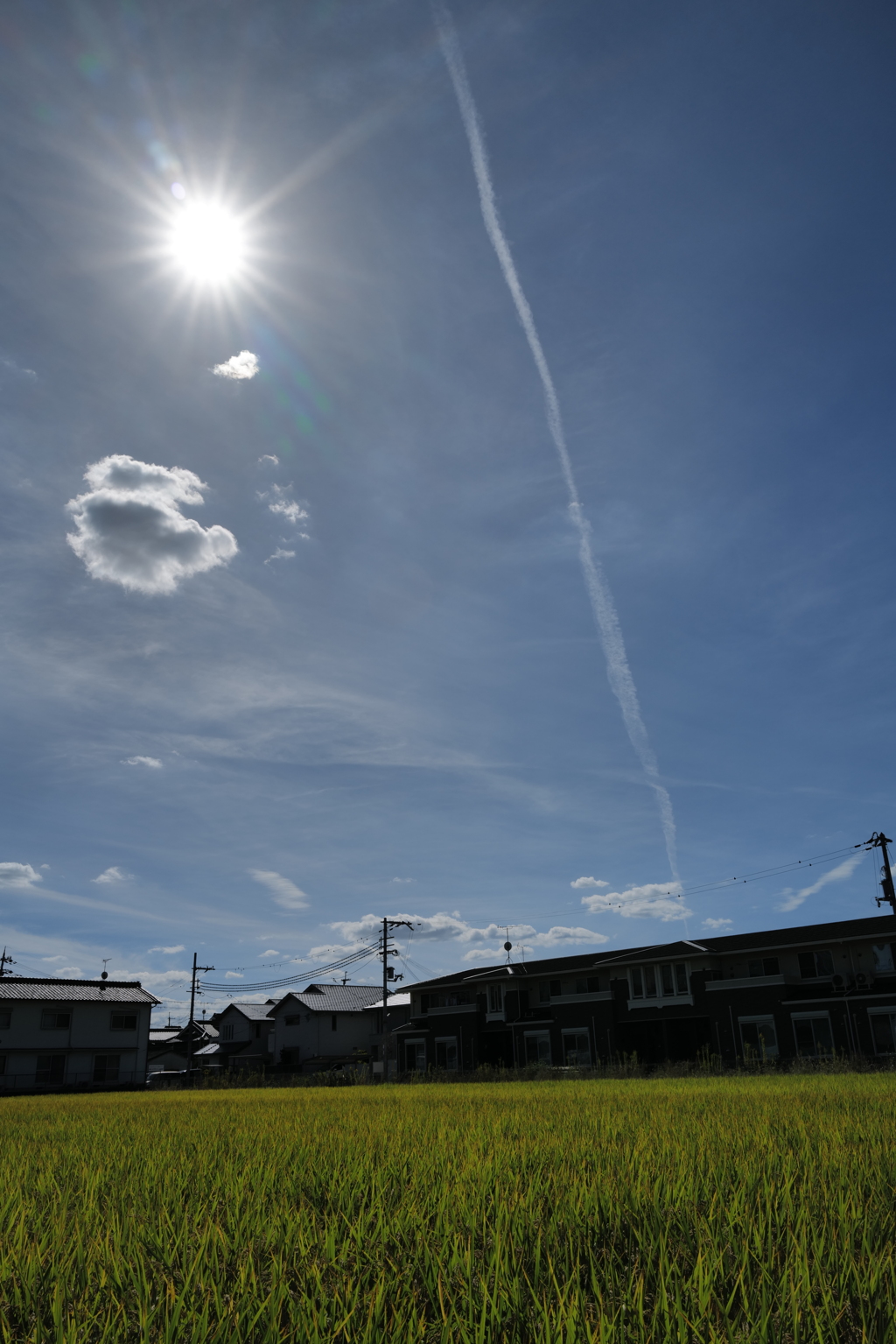 天まで上がれ
