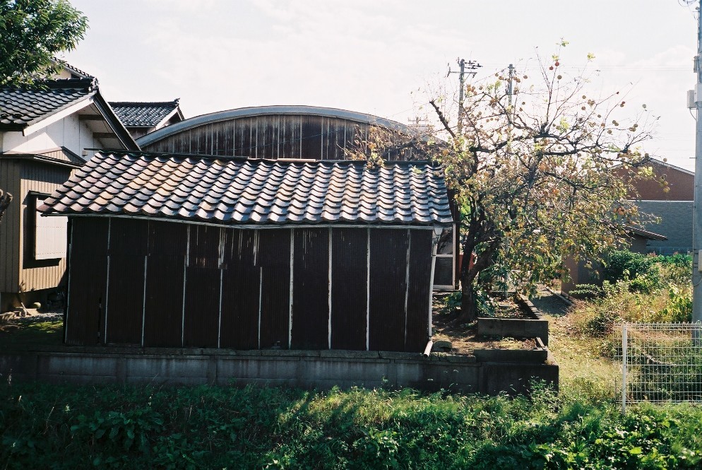 小屋と柿の木