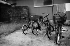道端の自転車たち