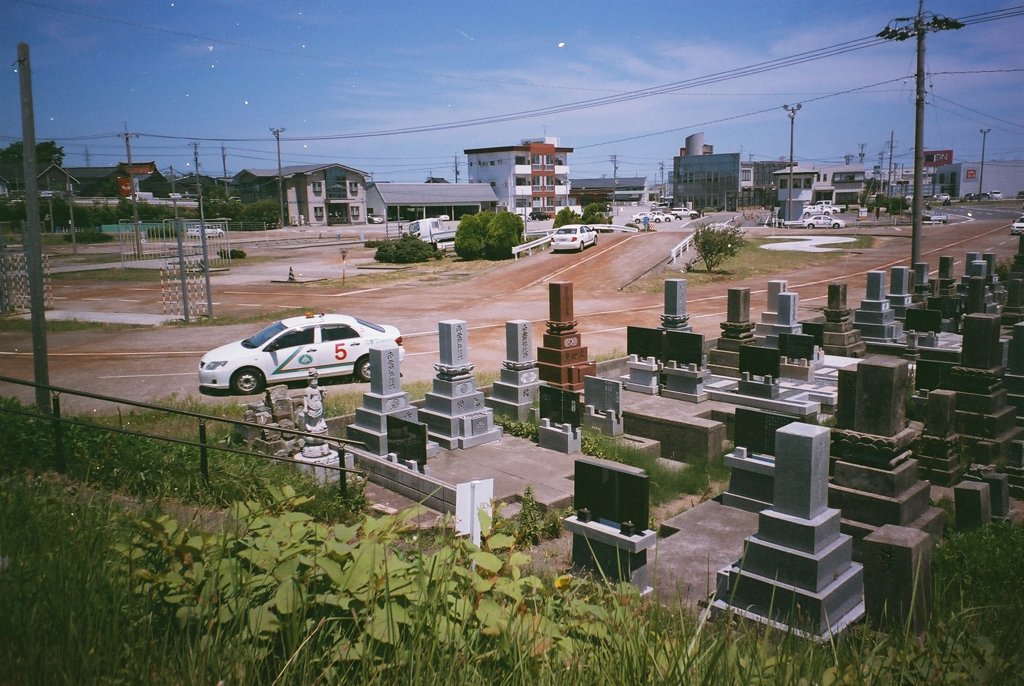 墓地と教習所