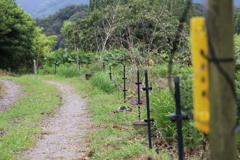 6176686368_IMG_0780