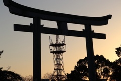 6241764400_IMG_1085