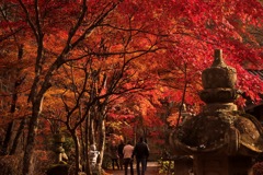 最後の紅葉