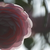 うつろな愛