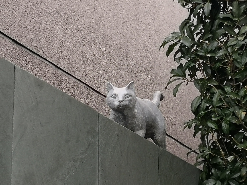 猫の家