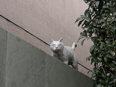 猫の家