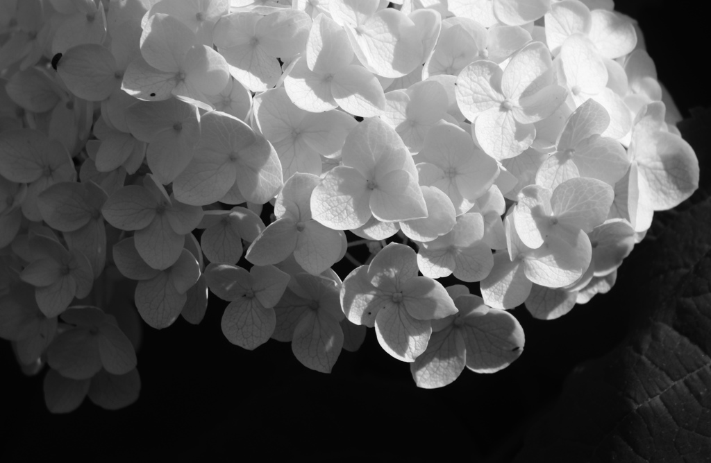 お天気のいい日２